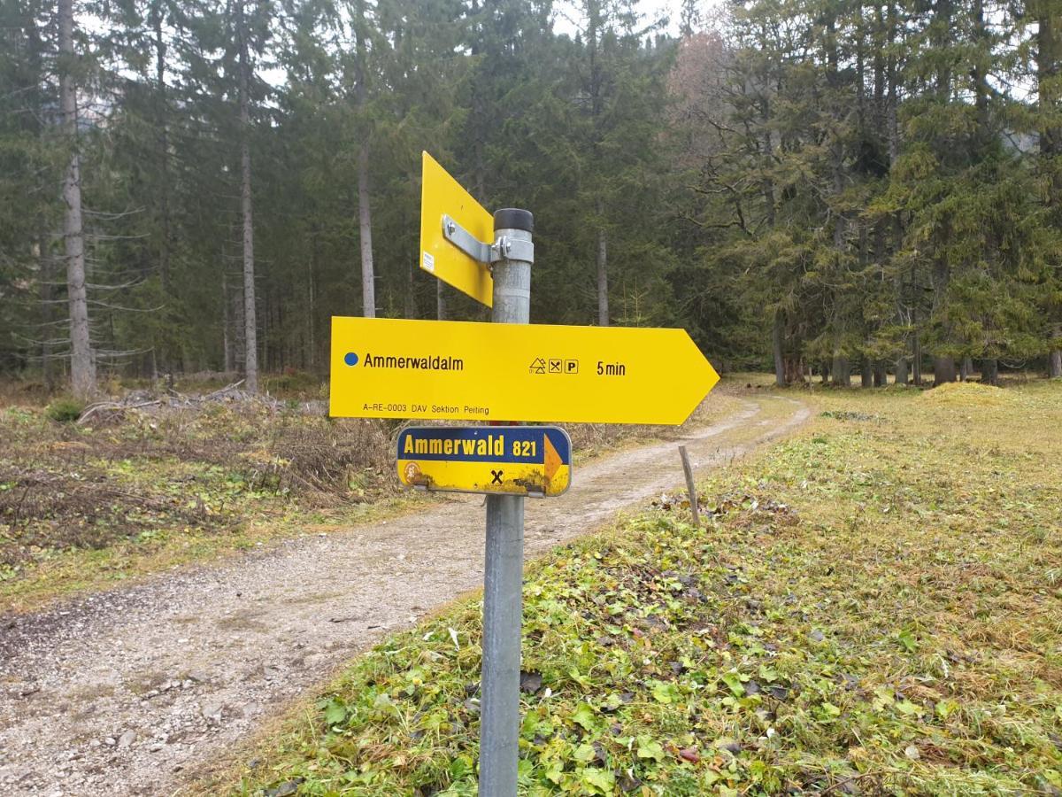 Ammerwald Alm Plansee Exteriér fotografie
