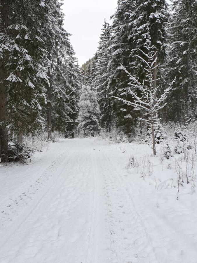 Ammerwald Alm Plansee Exteriér fotografie