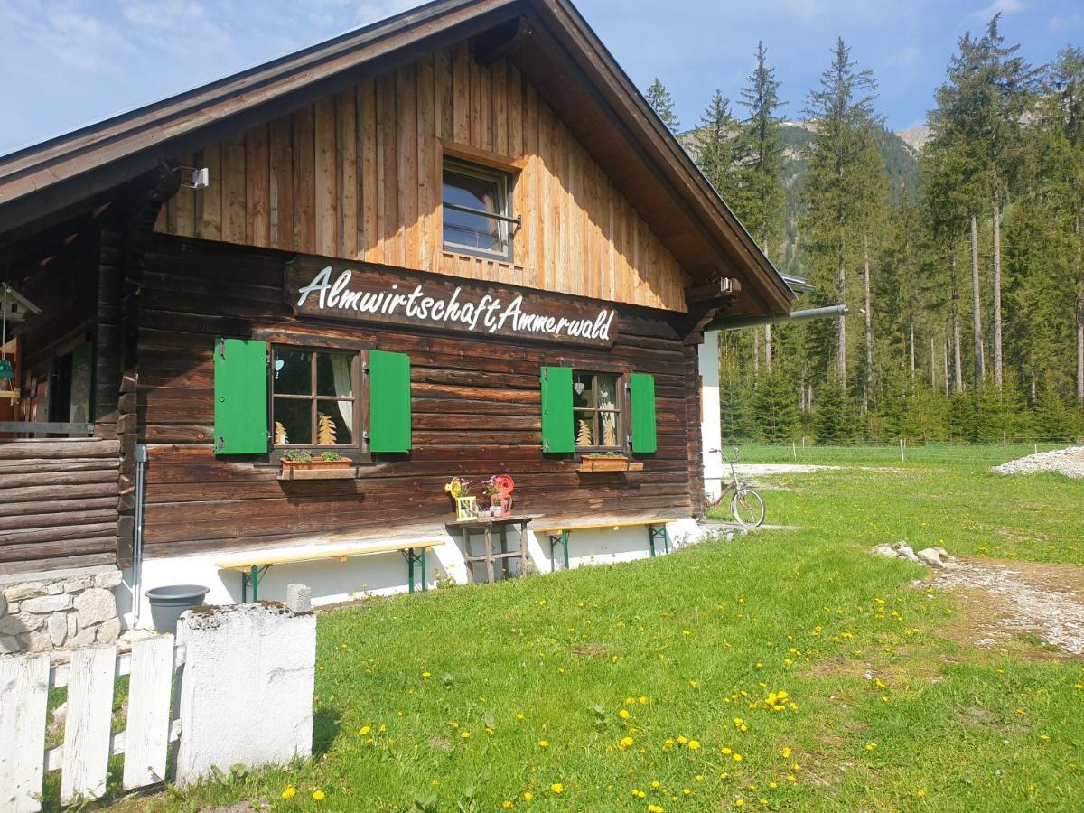Ammerwald Alm Plansee Exteriér fotografie