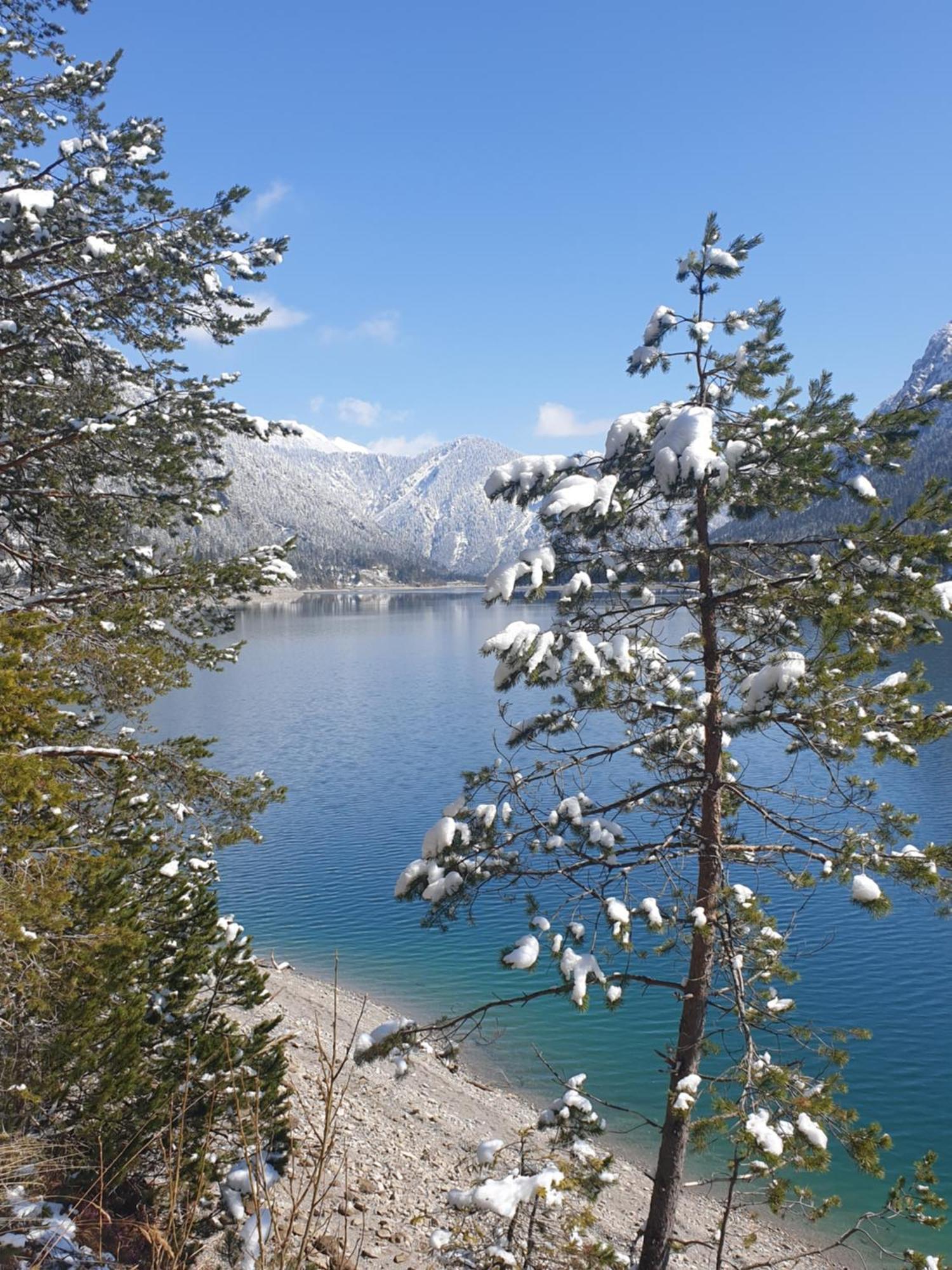 Ammerwald Alm Plansee Exteriér fotografie